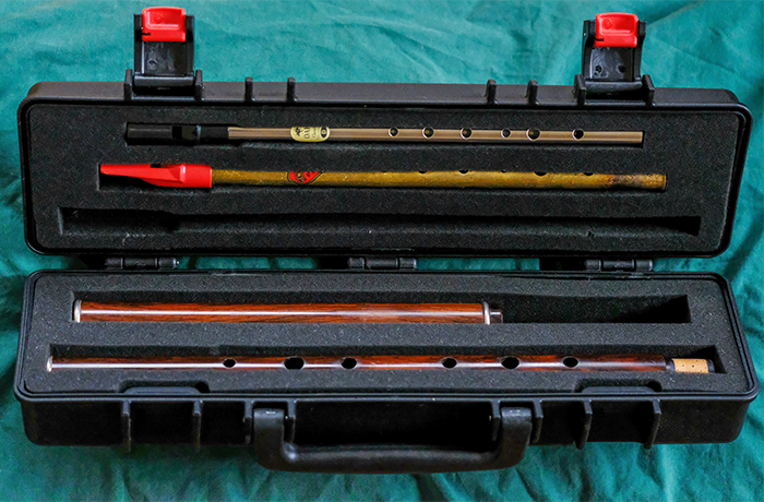 The robust synthetic case that comes with a Martin Doyle flute.